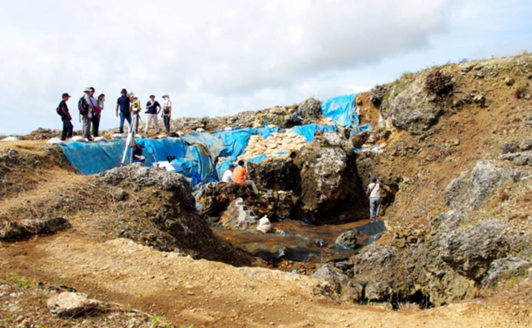 El hallazgo de realizó en la isla del archipiélago meridional de Okinawa. (FOTO: Akemi Kanda)
