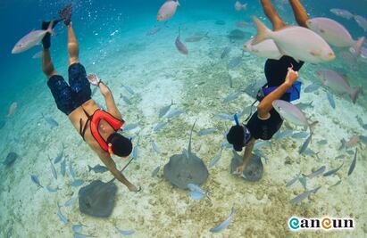 9 cosas que hacer cuando vayas a Cozumel