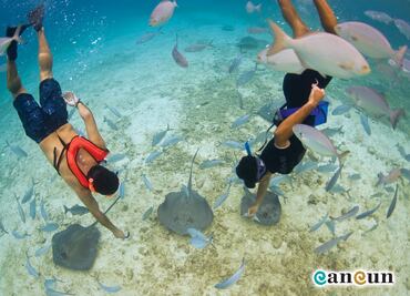 9 cosas que hacer cuando vayas a Cozumel