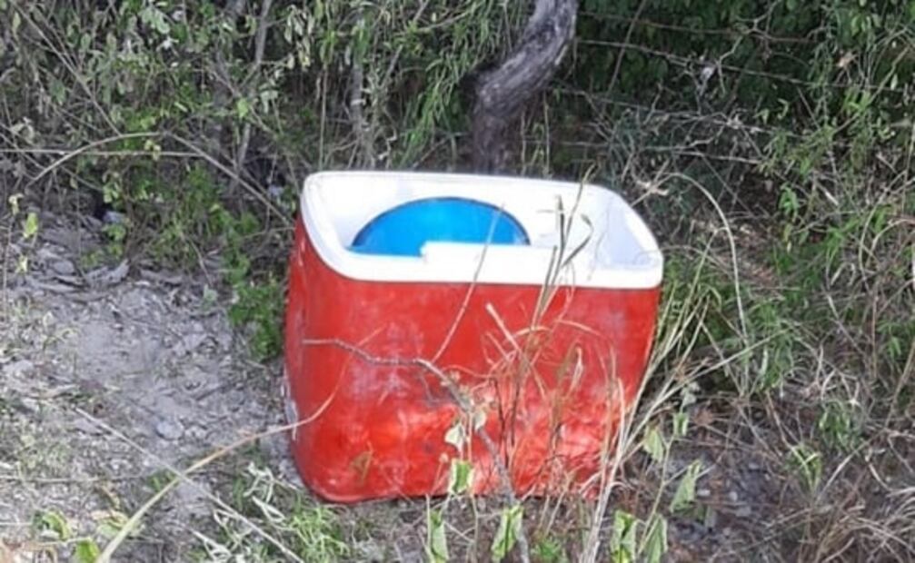 Aseguran hielera con marihuana y metanfetamina en Reynosa