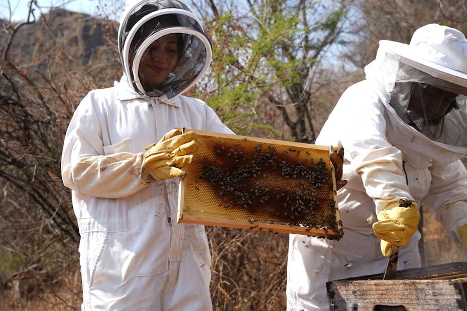 Foto: Sectur Morelos