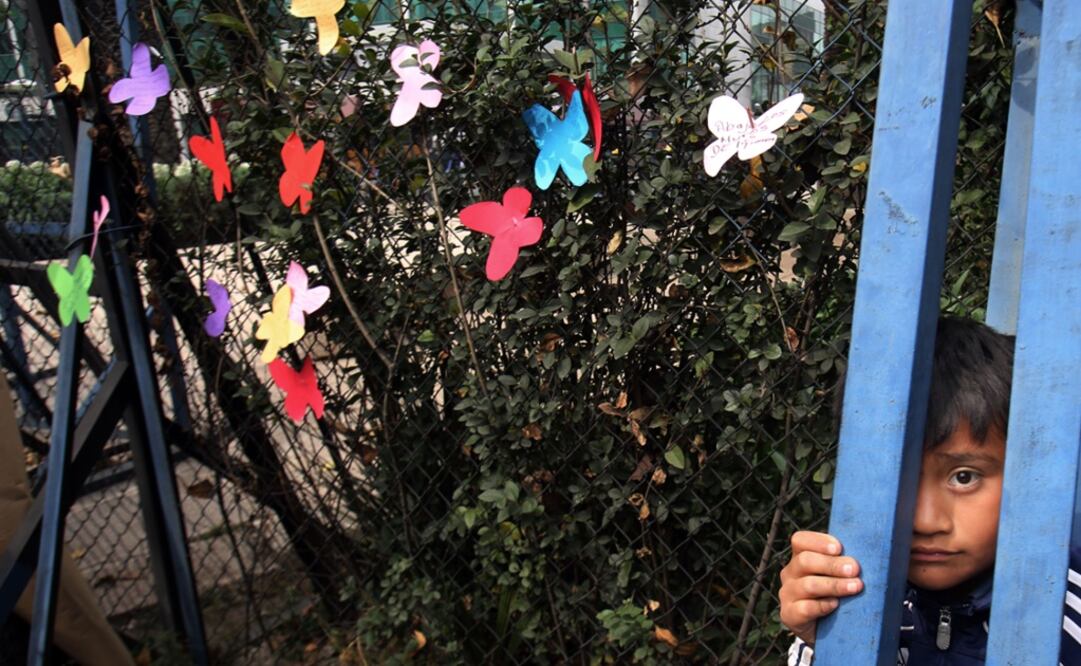 Imagen ilustrativa  Foto: Juan Carlos Reyes/EL UNIVERSAL