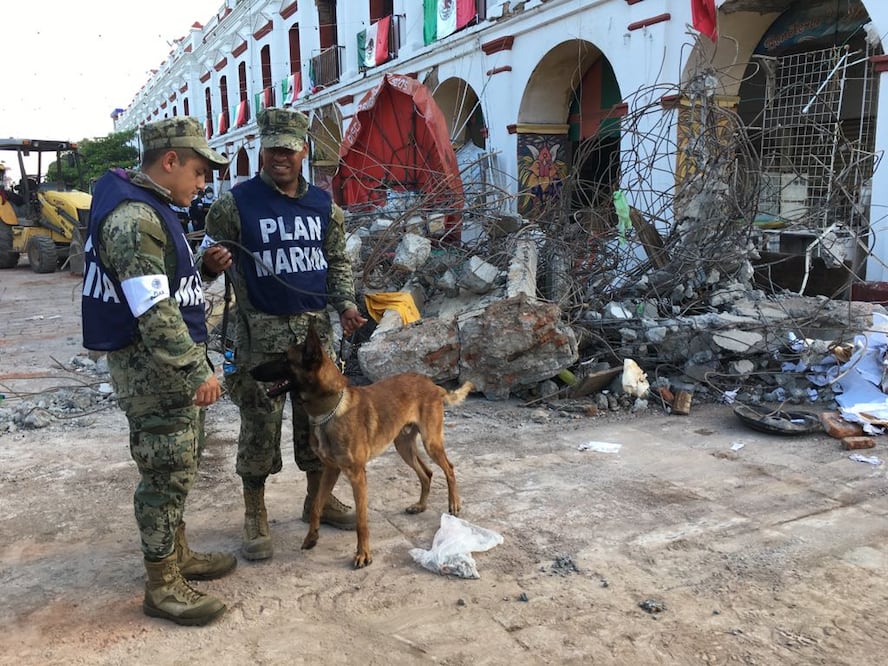 La reconstrucción en Oaxaca y Chiapas