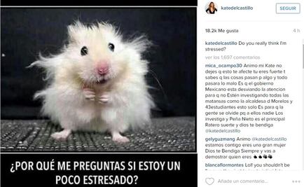 "¿De veras creen que estoy estresada?", tuitea Kate