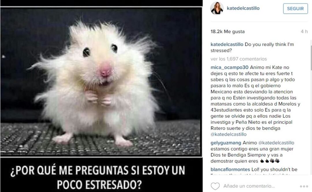 "¿De veras creen que estoy estresada?", tuitea Kate