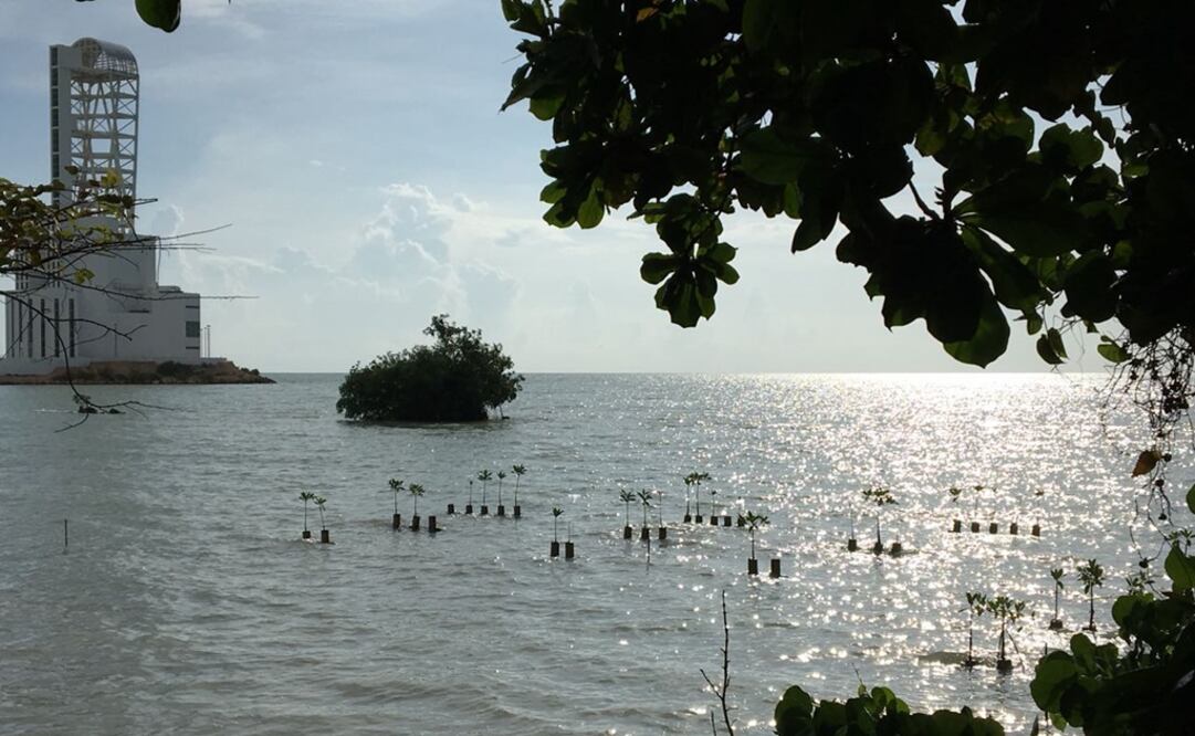 Foto: Silvia Hernández/ EL UNIVERSAL