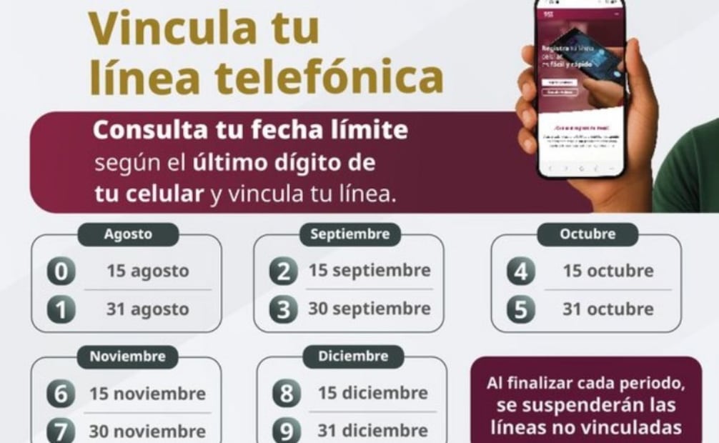 Calendario de vinculación de línea electrónica. Foto: Captura de pantalla