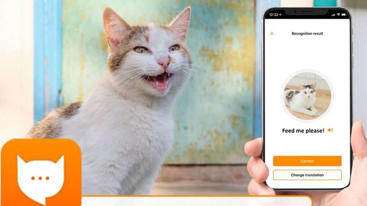Se llama MeowTalk y es gratuita. 