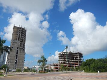 Denuncian nuevo intento de desmonte en manglares de Tajamar