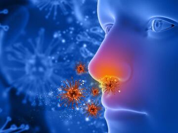 Hasta 35% de la población mexicana padecen rinitis alérgica