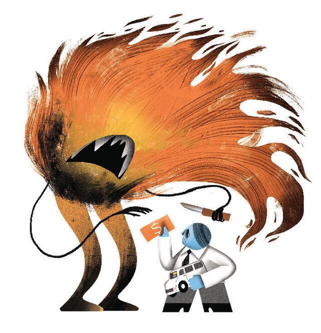 Ilustración: Ani Cortés