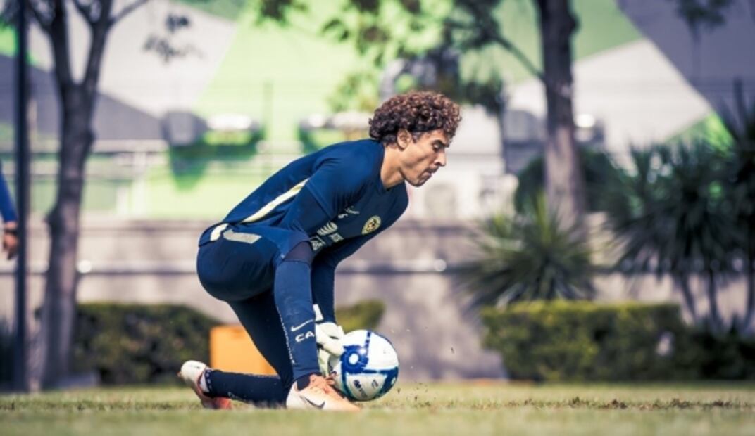 Ochoa sigue en proceso de adaptación, asegura Miguel Herrera