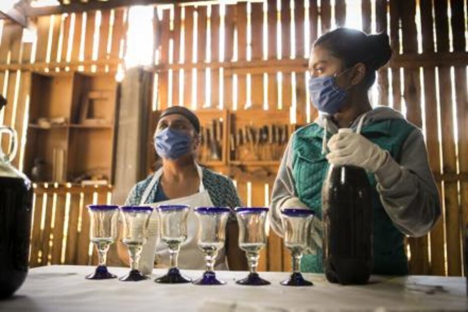 Crean en Oaxaca Zega-Cola, refresco artesanal 