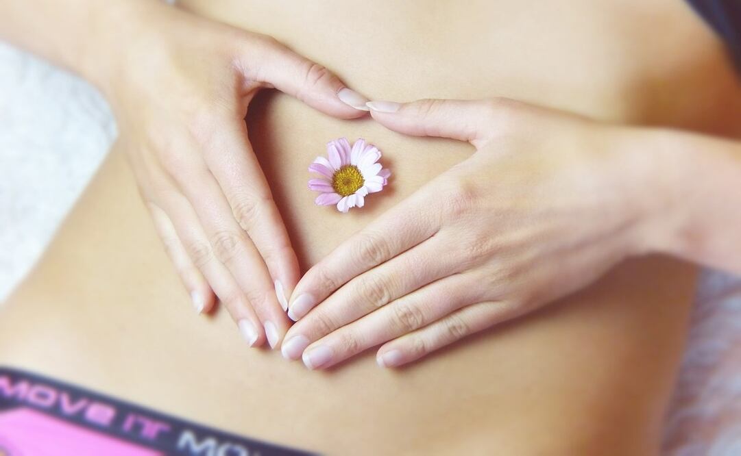 La endometriosis afecta a mujeres y niñas. Foto: Pixabay