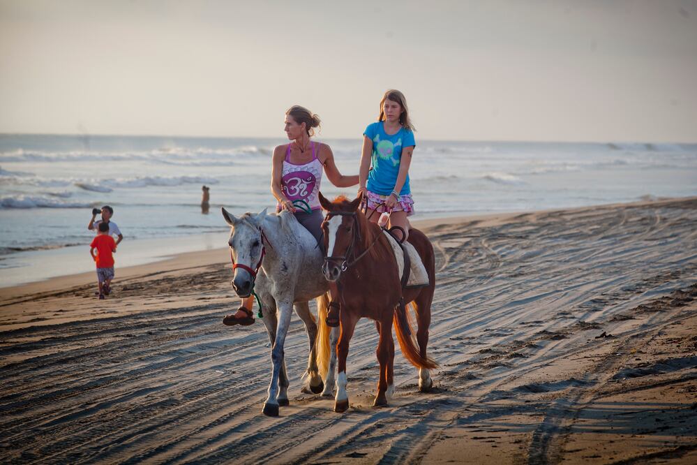 Archivo / EL UNIVERSAL