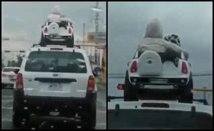 Captan en video a niños que viajan en toldo de camioneta en Zapopan, Jalisco