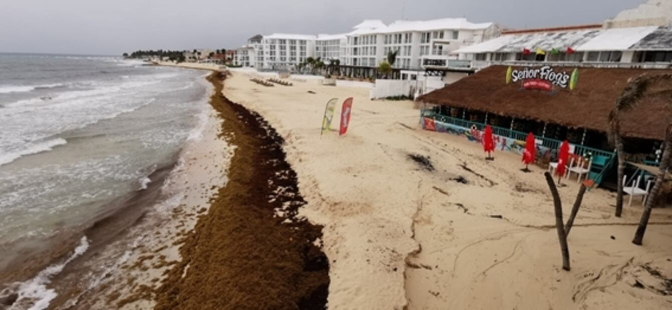 Fallas en contención del sargazo reúnen a Semar y gobierno de Quintana Roo