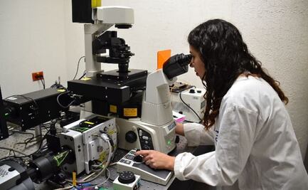 Exentos de Decreto Presidencial, fideicomisos de los Centros Públicos de Investigación