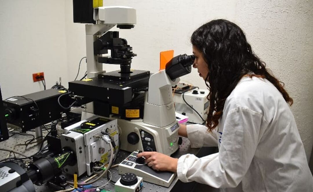 Foto: cortesía Conacyt, archivo