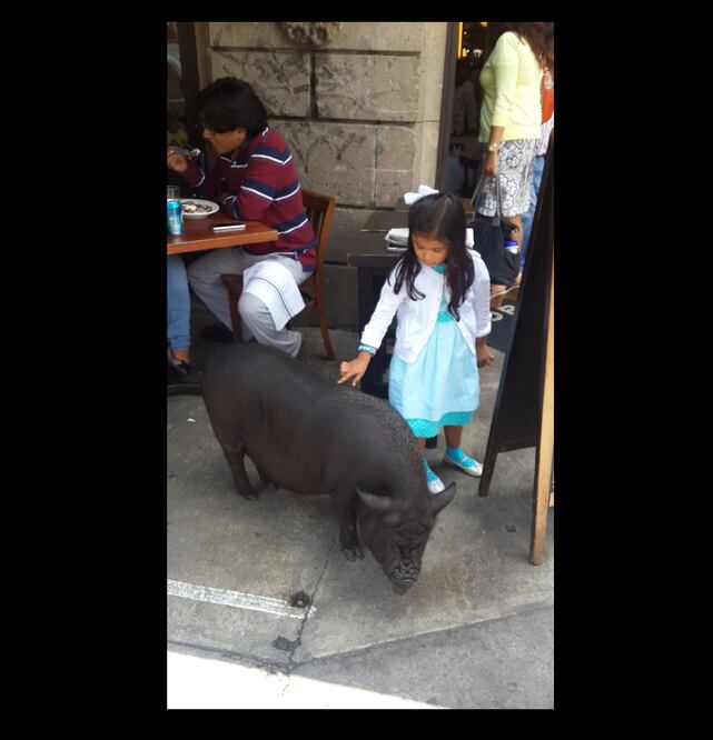 Gastronomía y paisajes de Guanajuato a Dolores Hidalgo