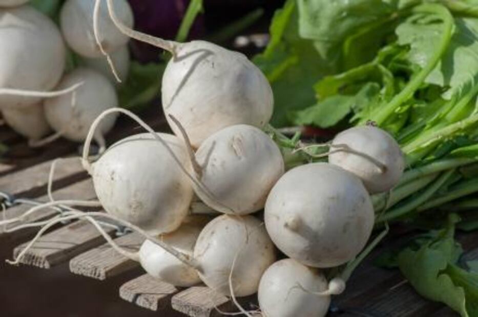 Alimentos que dañan la tiroides