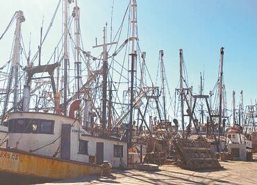 Pesca ilegal puede crecer por recortes de la 4T