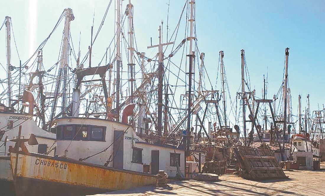 En el país, 15 entidades con vocación pesquera se verán afectadas con el recorte que sufrirá Conapesca, el cual pegará a alrededor de 6 mil pescadores que laboran en unas 200 embarcaciones, las cuales también generan empleos indirectos. Fotos: Cortesía