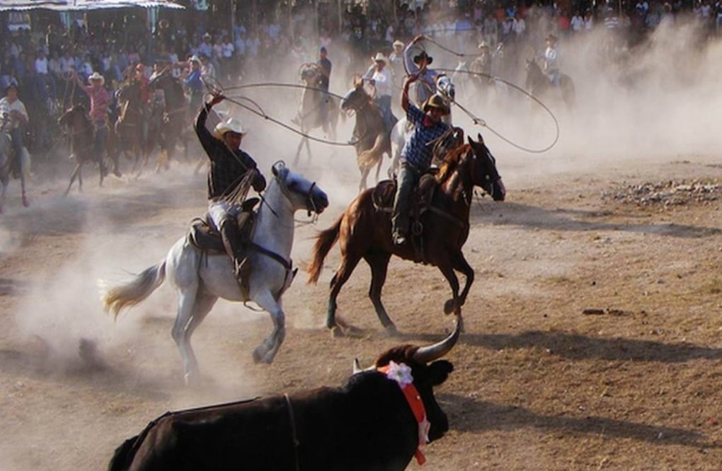 Prohíben torneos de lazo en Panabá, Yucatán. Foto Especial