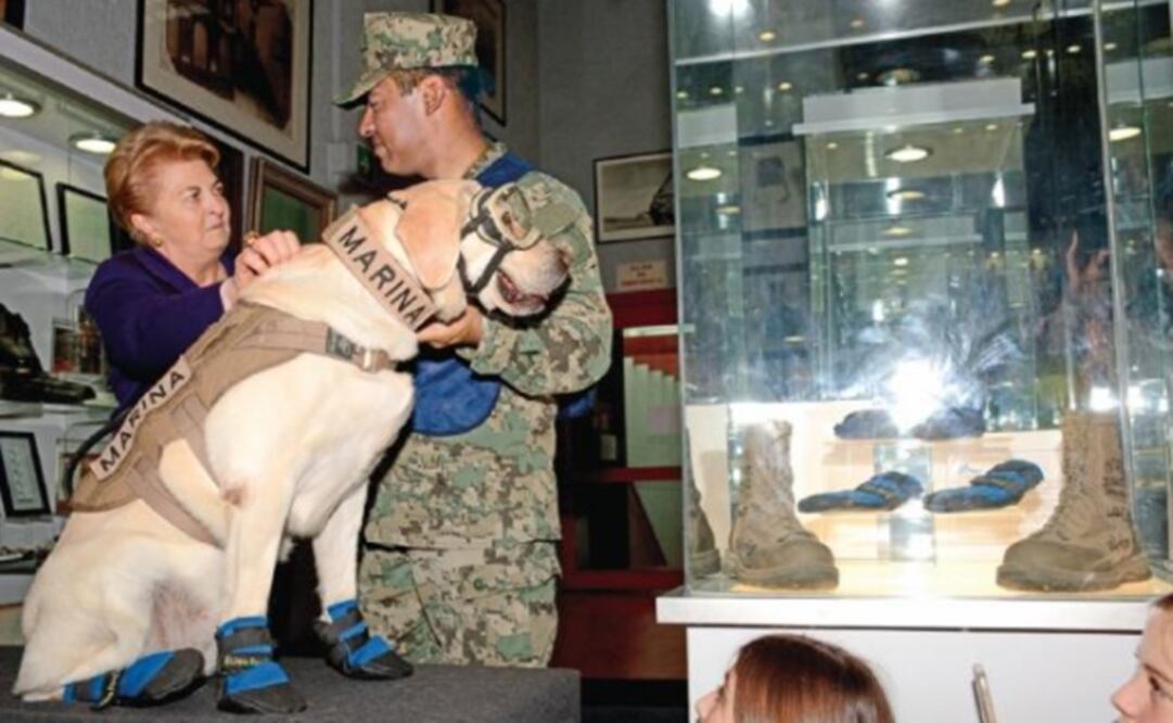 Photo: Ricardo Moya/EL UNIVERSAL