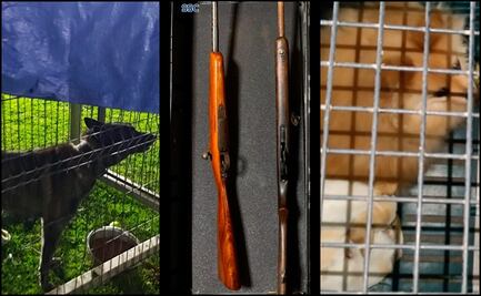 Decomisan armas, droga y rescatan a 27 perritos durante cateo en Xochimilco; presuntamente eran propiedad del grupo delictivo "Los Perros" 