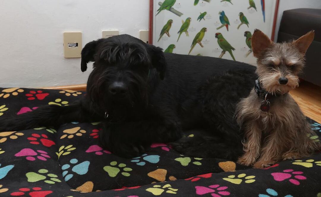 (Foto: Archivo/El Universal)