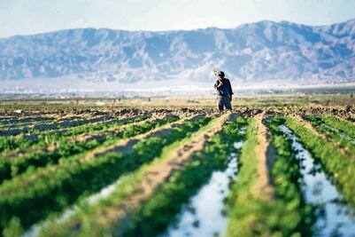 Condicionado, asegurar el campo del país, afirman
