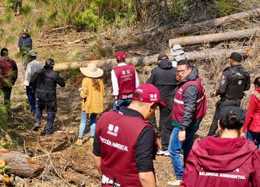Gobiernos de CDMX y federal combaten tala clandestina y protegen el Bosque de Agua; aseguran 2 vehículos con productos maderables