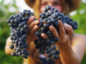 5 etiquetas de Malbec para celebrarla en su día