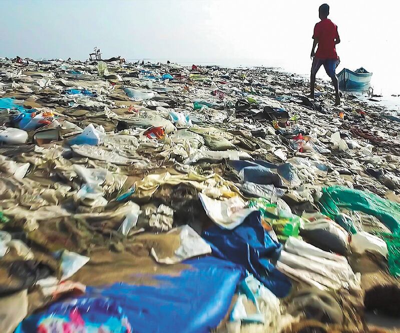 Los cuatro documentales y sus contenidos invitan a la reflexión. Foto: NATIONAL GEOGRAPHIC