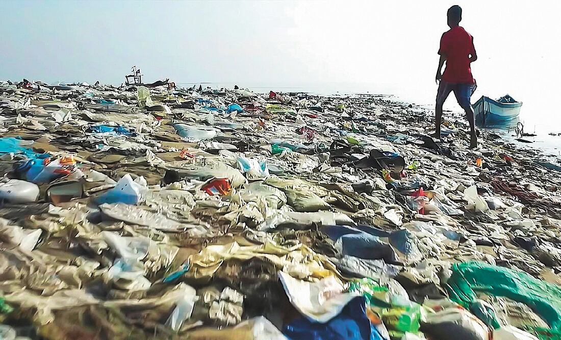 Los cuatro documentales y sus contenidos invitan a la reflexión. Foto: NATIONAL GEOGRAPHIC