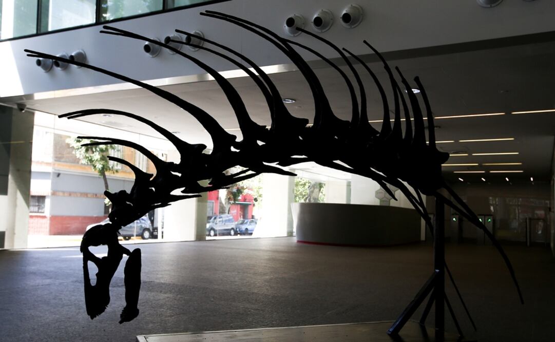 Foto: REUTERS/Agustin Marcarian