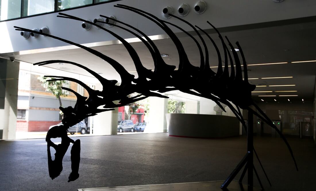 Foto: REUTERS/Agustin Marcarian