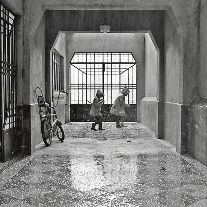 La película dirigida por Cuarón es la primera cinta nacional que logra estar en tres categorías de los Globos de Oro. NETFLIX