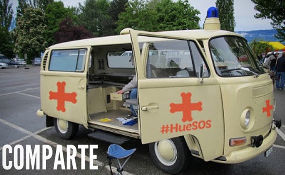 Quieren una Cruz Naranja para animales