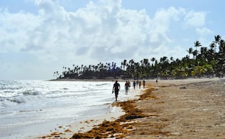 En qué meses hay menos sargazo en Cancún