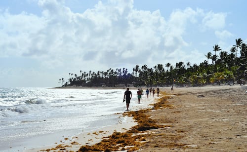 En qué meses hay menos sargazo en Cancún