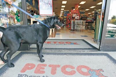 Petco logra adopción de 43 mil mascotas