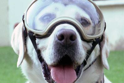 Frida ya tiene su estatua en Puebla