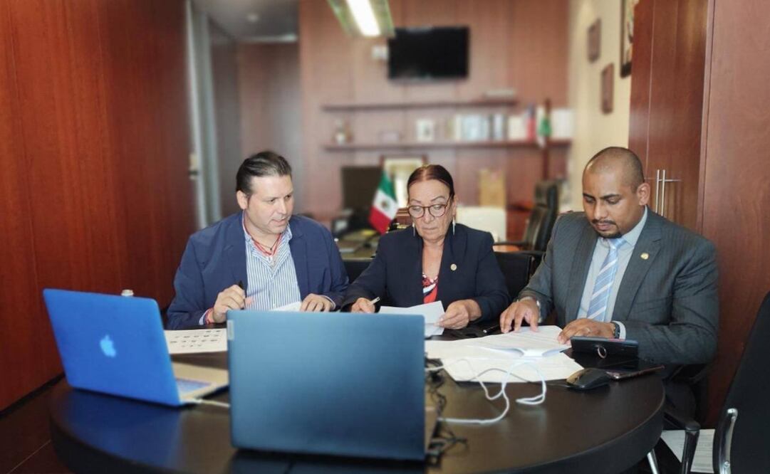 La presidenta de la Comisión de Seguridad, Lucía Trasviña, dijo que es una propuesta “importante”. Foto: Twitter @MarioZamoraG