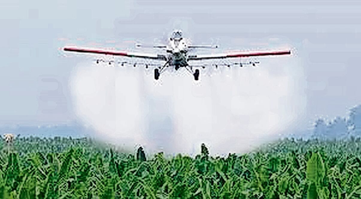 Sustancias químicas usadas en la agricultura pueden causar daños a nivel bioquímico. Foto: Especial