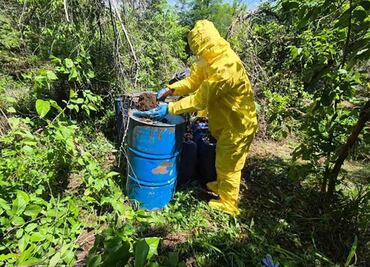 Semar da segundo golpe al narcotráfico en Sinaloa; asegura 4 áreas con materiales para la elaboración de metanfetaminas