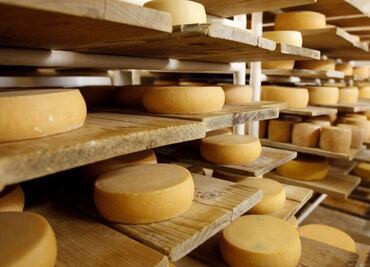 México logra preservar su queso manchego tras acuerdos con la UE