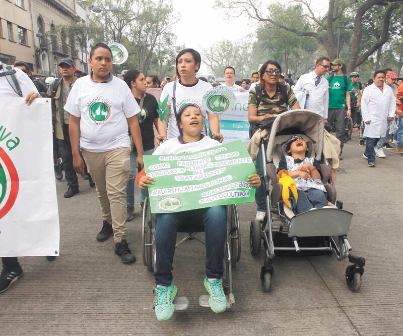El proyecto de ley para la despenalización de la marihuana busca reglamentar su uso personal, lúdico, comercial y médico, entre otros. Foto: ARCHIVO EL UNIVERSAL