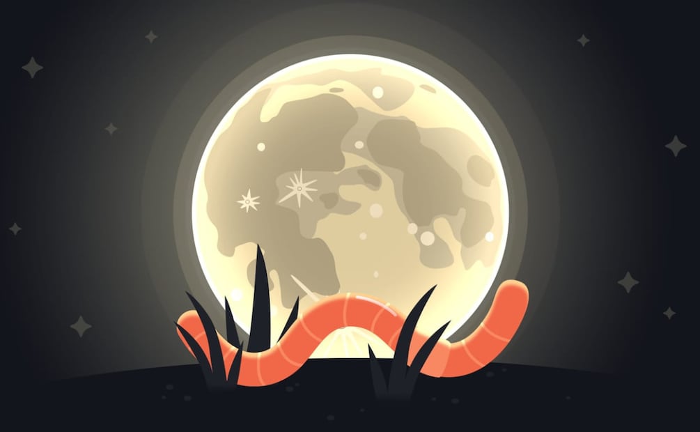 Para muchas culturas, la Luna de Gusano representa el despertar de la naturaleza luego del invierno. Foto: StarWalk